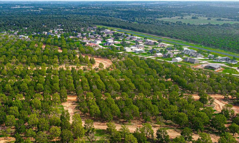 Pecan Plantation Properties Granbury Texas   Pp Orchards Link 