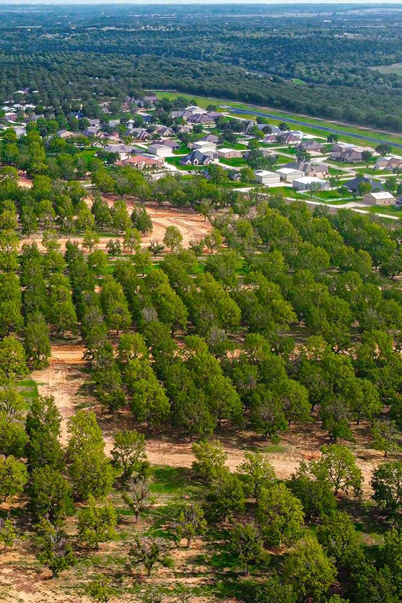 Land for sale in Texas, The Orchards, Pecan Plantation