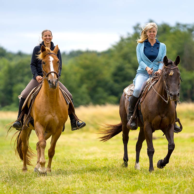 The Ranches at Pecan Plantation