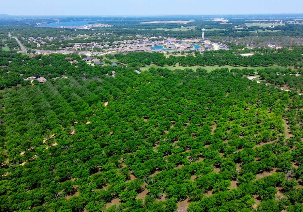 Pecan Plantation Stunning natural beauty. Unparalleled amenities.