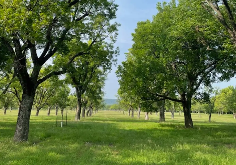 pp_landings_acreage The Landings Acreage