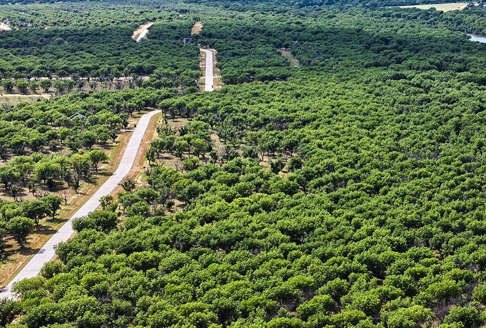 Build + Brew: Builder Preview of New Homesites at Pecan Plantation