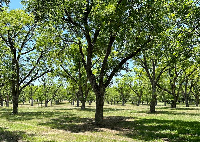 pp_ranches_feature