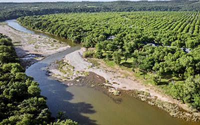 Tour Pecan Plantation This Fall: A Granbury Weekend Guide